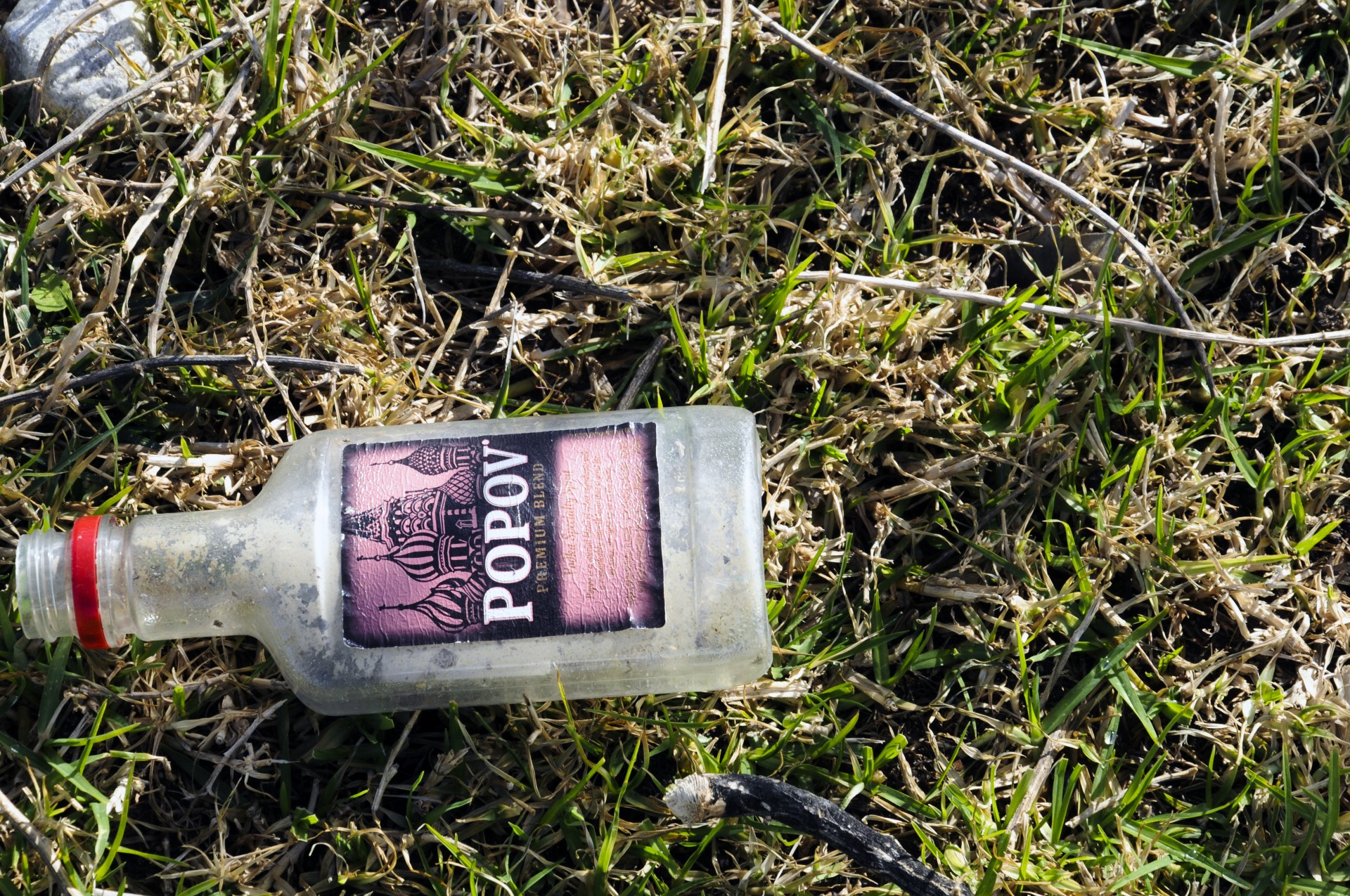 empty bottle