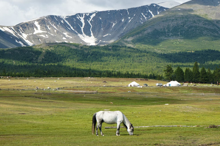 Mongolia's Khentii Province
